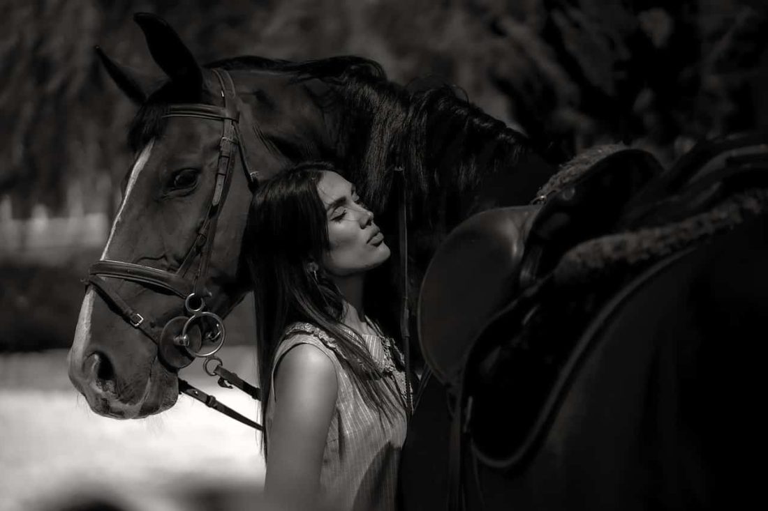 horse 7259226 1280 1