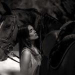 horse 7259226 1280 1