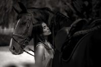 horse 7259226 1280 1